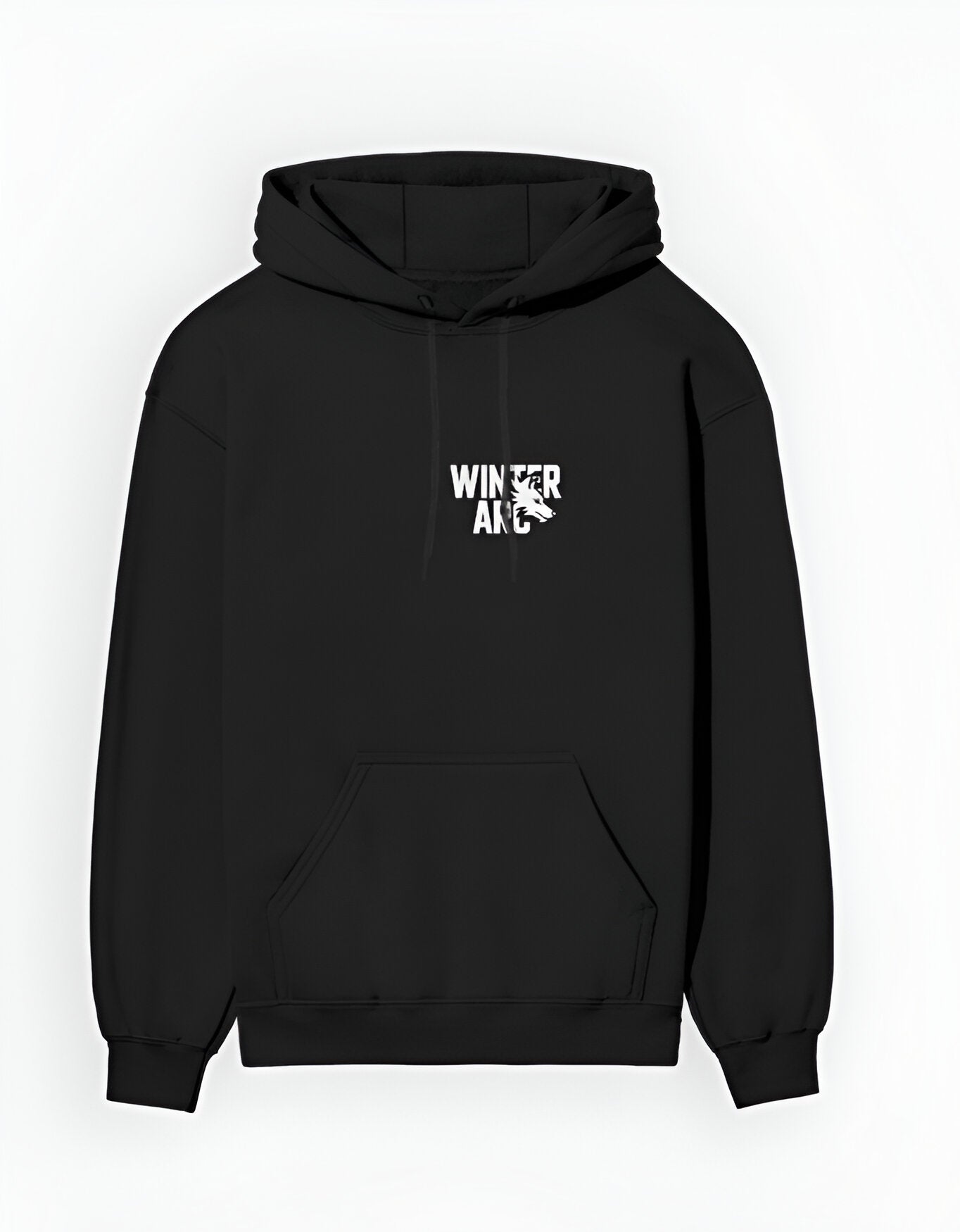 WINTER ARC Classic Black Hoodie – FLINKO Gymwear Edition